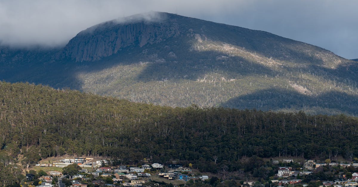 Common Portfolio Mistakes That Signal Red Flags