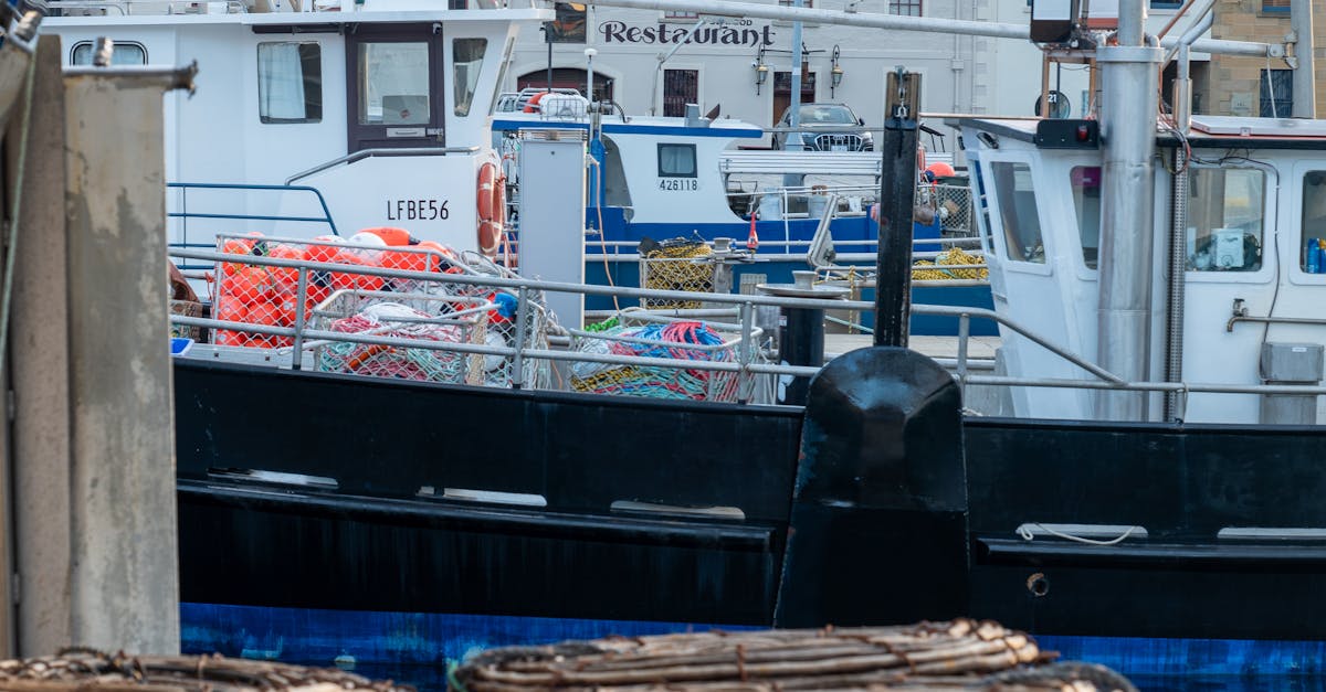 Evaluating Material Costs in Kitchen Renovation Quotes