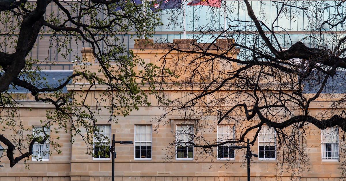 Navigating Installation Costs in Kitchen Renovation Projects